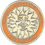 Tiger National Summertime Award Pin