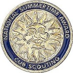 Webelos National Summertime Award Pin