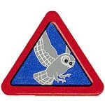 Wildlife Conservation Pin