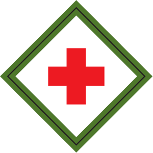 Webelos Adventure: First Responder